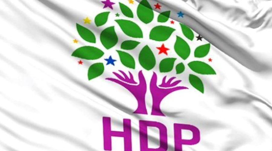 HDP_drapeau_1