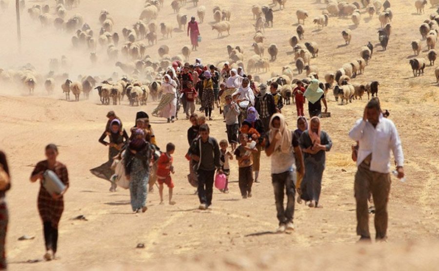 Le CDK-F appelle la communauté internationale à protéger les yézidis contre de futurs massacres et à reconnaître l'autonomie du Sinjar.