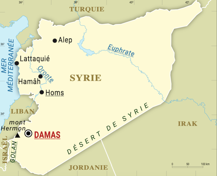 Les Kurdes au cœur d'une nouvelle Syrie démocratique et inclusive