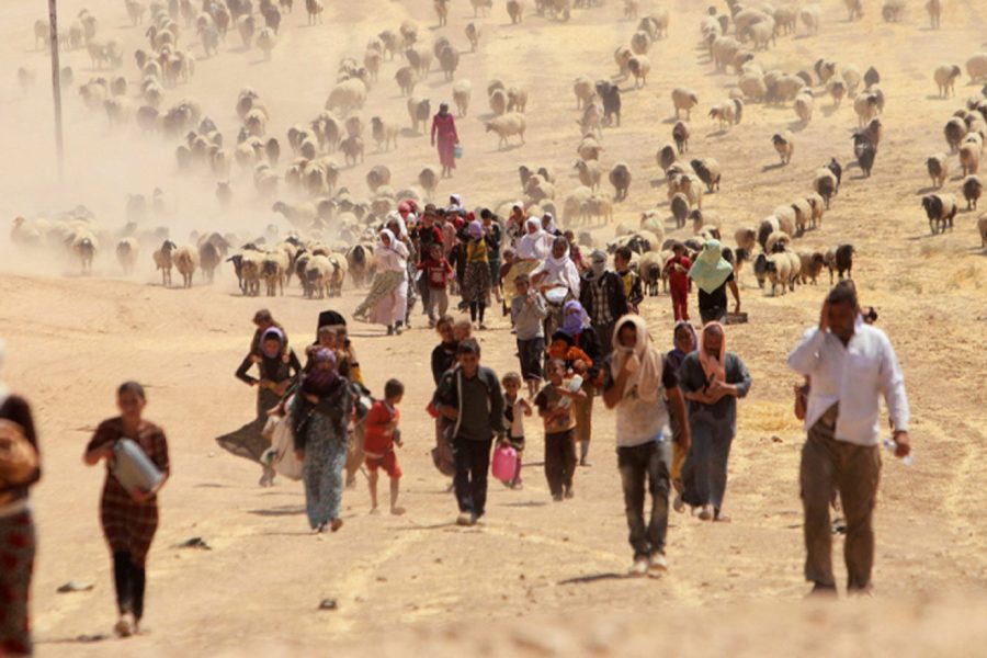 10e anniversaire du génocide des Yézidis à Shengal : Hommage aux victimes de cette tragédie incommensurable